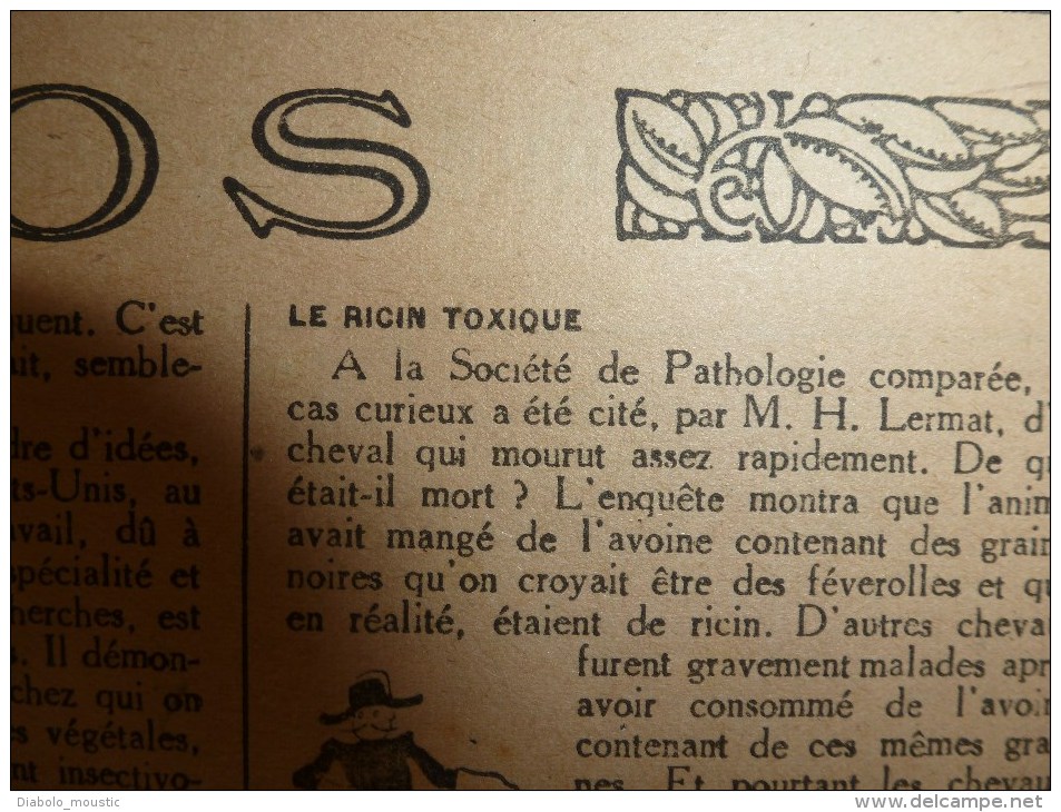 1918 LPDF:Chien de guerre-infirmier-éclaireur-etc;Crise alimentaire;Nos CANONS;Longpont;Les belges;Manger du pingouin.