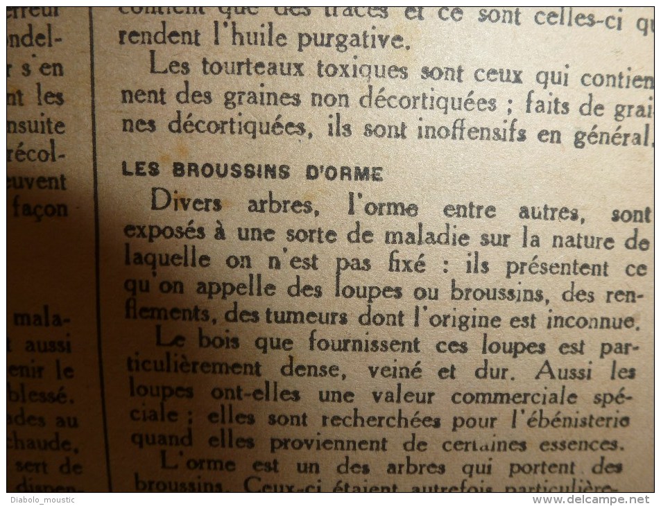 1918 LPDF:Chien de guerre-infirmier-éclaireur-etc;Crise alimentaire;Nos CANONS;Longpont;Les belges;Manger du pingouin.