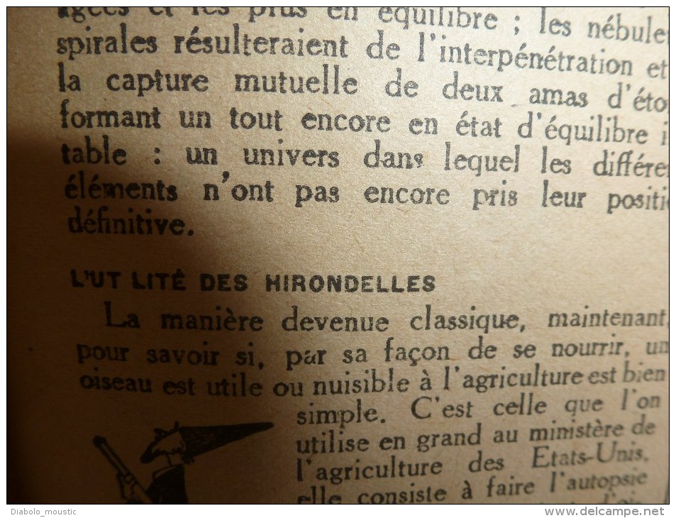 1918 LPDF:Chien de guerre-infirmier-éclaireur-etc;Crise alimentaire;Nos CANONS;Longpont;Les belges;Manger du pingouin.