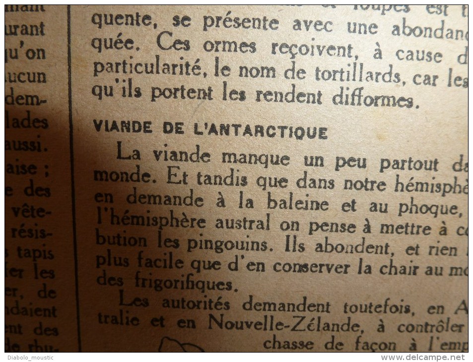 1918 LPDF:Chien de guerre-infirmier-éclaireur-etc;Crise alimentaire;Nos CANONS;Longpont;Les belges;Manger du pingouin.