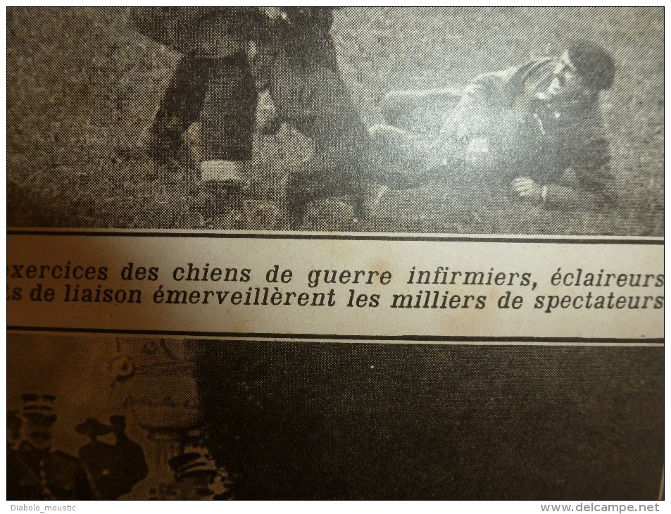 1918 LPDF:Chien de guerre-infirmier-éclaireur-etc;Crise alimentaire;Nos CANONS;Longpont;Les belges;Manger du pingouin.