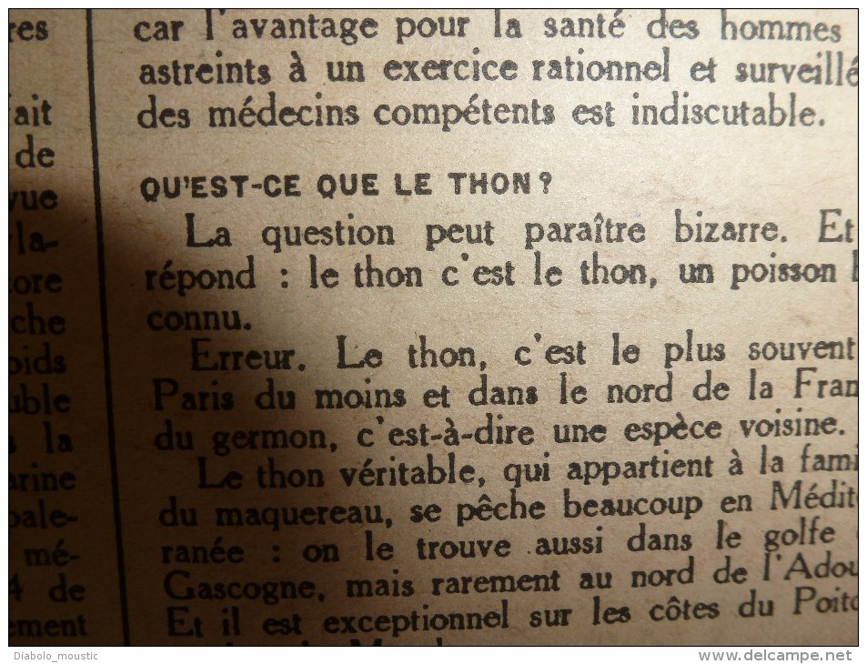 1918 LPDF:Les FOLIES;Malvy;Tanks;Cantigny;Défilé soldats amis(Grec,Serb,Belg,UK,Tchéc,US..etc);France's Day;ECHOS divers