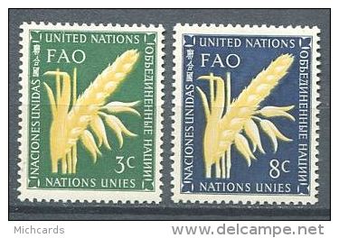 133 NATIONS UNIES 1954 - Epi De Ble OAA FAO(Yvert NY 23/24) Neuf ** (MNH) Sans Trace De Charniere - Ongebruikt