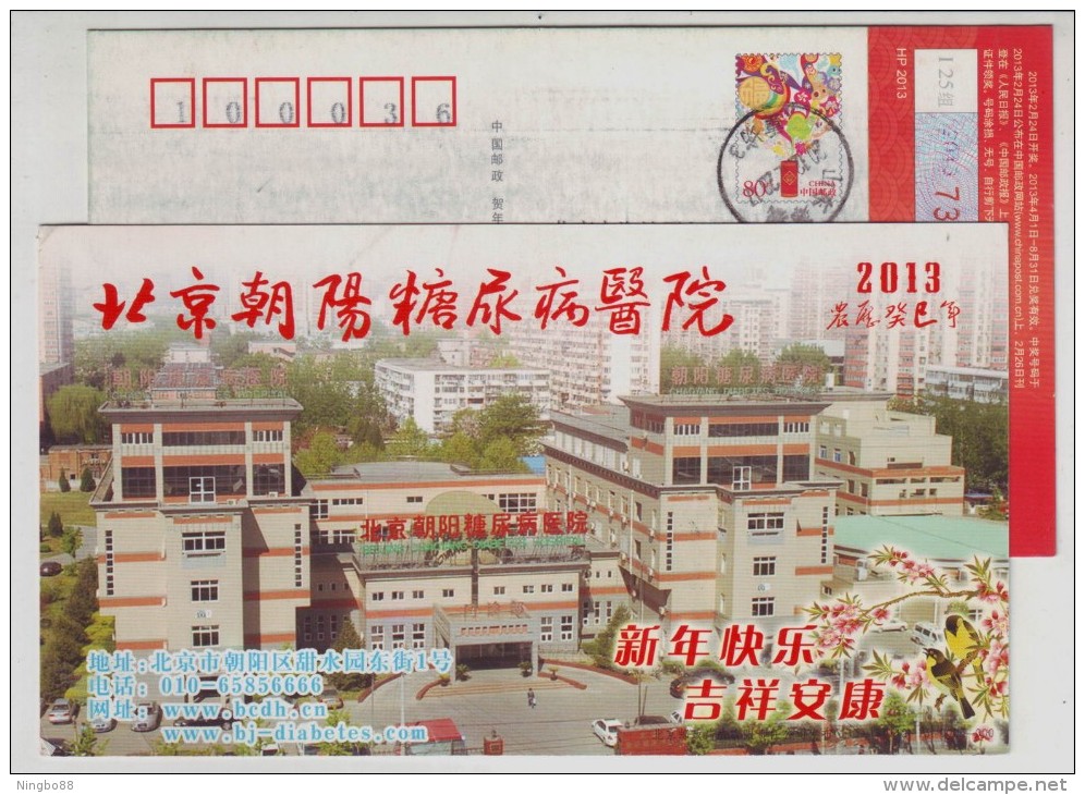 China 2013 Beijing Chaoyang District Diabetes Hospital New Year Greeting Advertising Pre-stamped Card - Disease