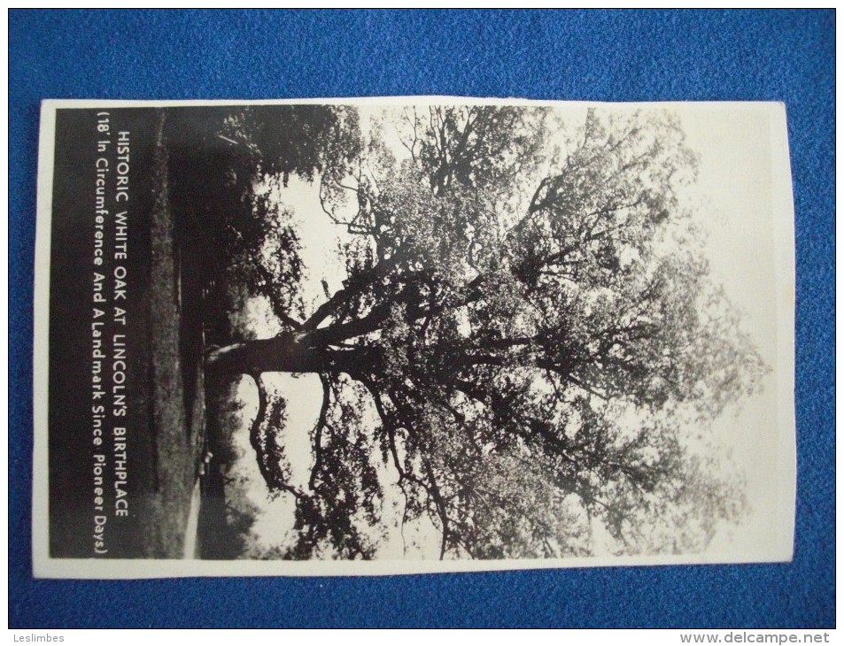 RPPC Historic White Oak At Lincoln's Birthplace (Hodgenville, Kentucky) - Präsidenten