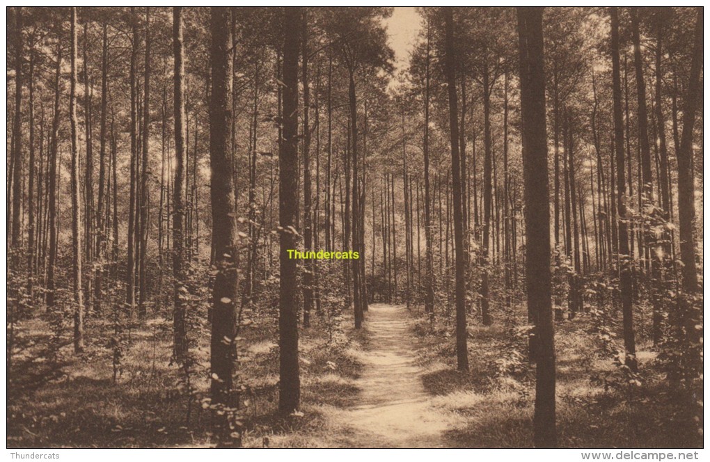 SYSSEELE SANATORIUM ELISABETH BOSCH LE BOIS - Damme