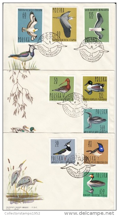 1510- WATERBIRDS FROM POLAND, COVER FDC, 3X, 1964, POLAND - Marine Web-footed Birds