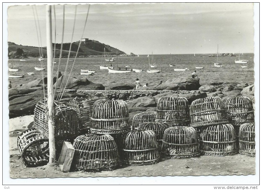 [22] Côtes D'Armor > TREBEURDEN Le Port Et L'Ile Millau (Cpsm Grand Format) *PRIX FIXE - Trébeurden