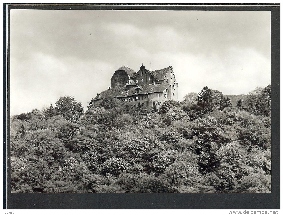 GRÖSSE 10x15 - 5 POSTKARTEN - SCHLOSS WILDEGG - TB - Wildegg