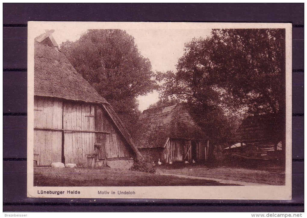 AK Lüneburger Heide. Motiv In Undeloh Karte Nicht Gel. - Lüneburger Heide