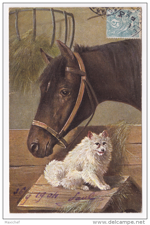 Carte Illustrée Par A Müller, München - Box Cheval En Compagnie D'un Chien "Cairn Terrier" Circulé 1904, UPU - Mueller, August - Munich