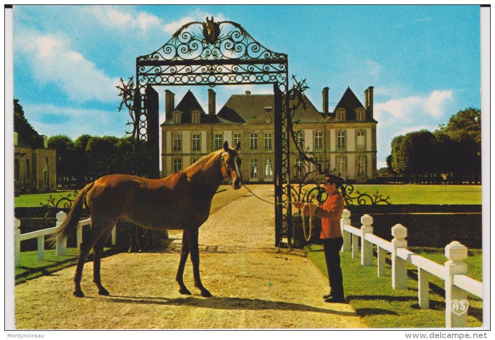 Orne : LE  HARAS  Du  PIN  :   Carmathen  ( étalon ) - Exmes