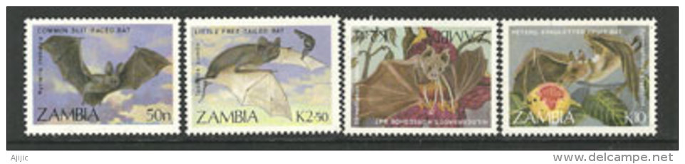 ZAMBIE.   Les Chauves-souris.   Yv .461/64.  4 T-p Neufs ** - Fledermäuse