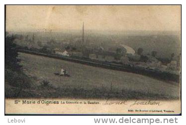 (AISEAU) « Sainte-Marie D’Oignies - La Glacerie Et La Sambre » - Ed. De Roover & Léonard, Tamines (1904) - Aiseau-Presles