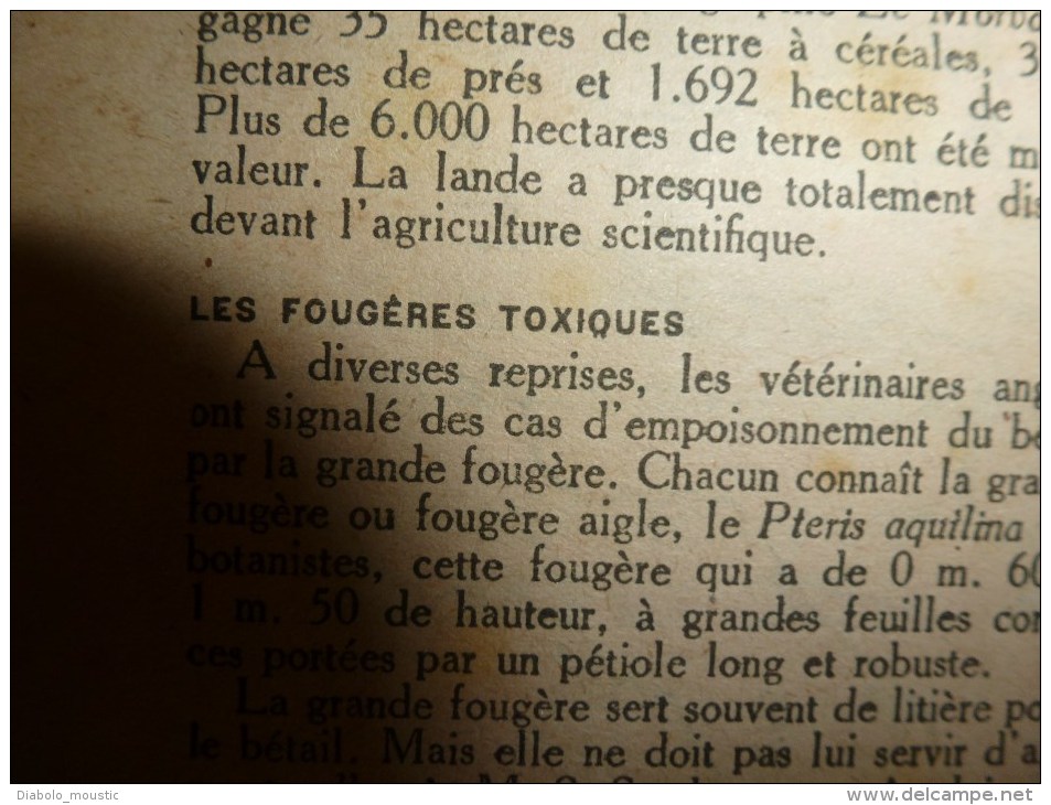 1918 LPDF: GOTHA Nogent-l'Artaud;BOLO tué;ZOUAVES;Gournay/Ar.;Strouma;SERBIE;Navire INFANTA ISABEL;Ostende;ile CHEDUBA