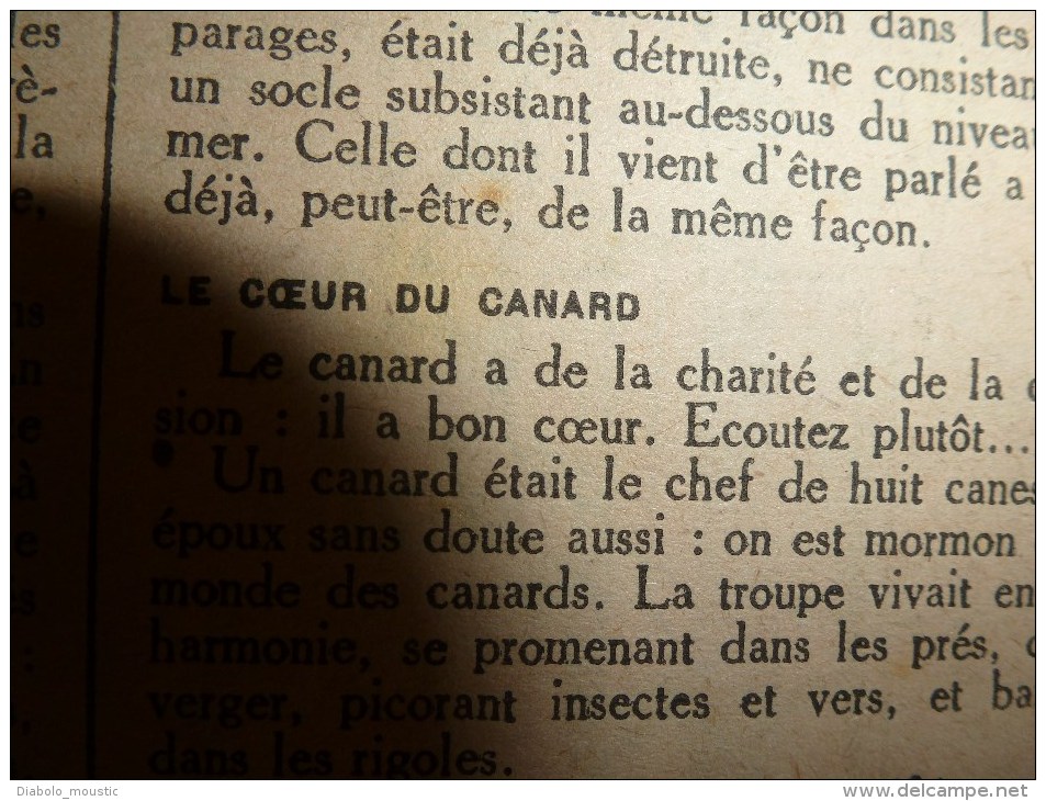 1918 LPDF: GOTHA Nogent-l'Artaud;BOLO tué;ZOUAVES;Gournay/Ar.;Strouma;SERBIE;Navire INFANTA ISABEL;Ostende;ile CHEDUBA