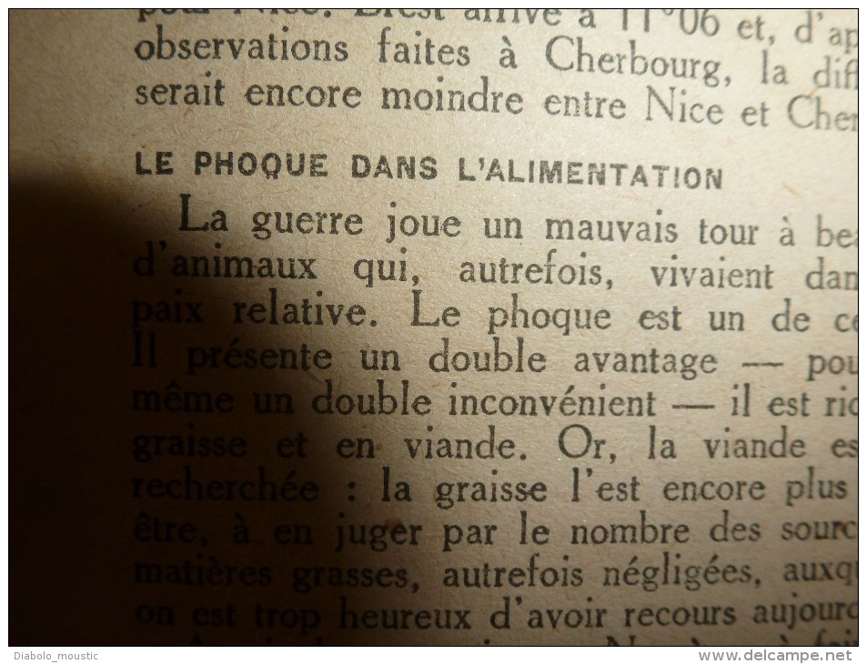 1918 LPDF: Camoufler US;Aviation-battle;Armée belge;VINDICTIVE;Phoque BON;Procès BONNET ROUGE;Poelkappelle;Passchendale