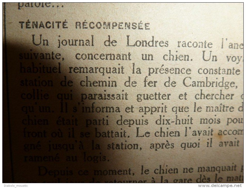 1918 LPDF: Camoufler US;Aviation-battle;Armée belge;VINDICTIVE;Phoque BON;Procès BONNET ROUGE;Poelkappelle;Passchendale