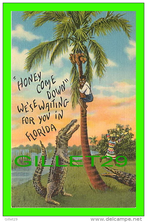 COMICS - HUMOUR -  ''HONEY COME DOWN'' WE'SE WAITING FOR YOU IN FLORIDA - CROCODILES - TROPICAL FLORIDA SERIES - - Bandes Dessinées