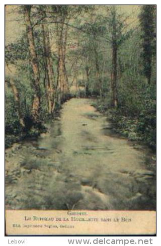 GEDINNE « Le Ruisseau De La Houillette Dans Le Bois » Phototypie Marco Marcovici, Bxl (1907) - Gedinne