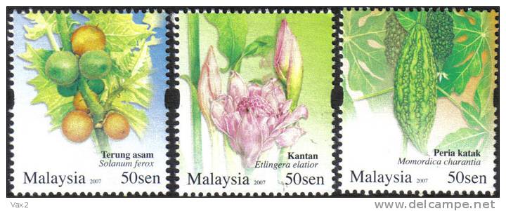 Malaysia 2007 S#1177-1179 Rare Vegetables MNH Flora Food Vegetable - Malaysia (1964-...)