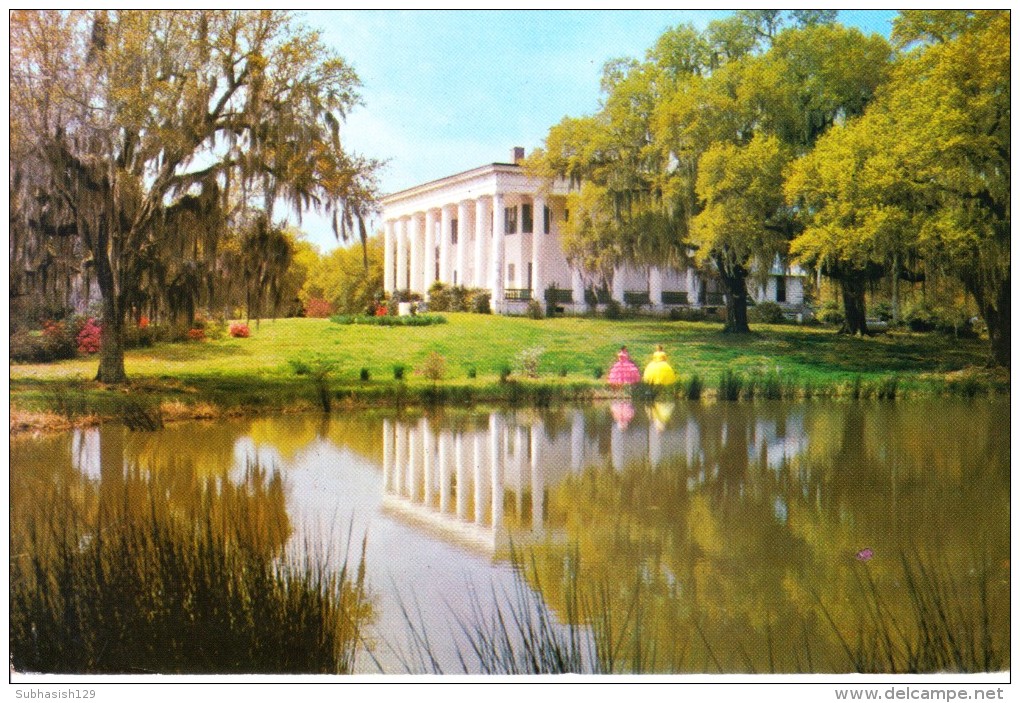 UNITED STATES OF AMERICA PICTURE POST CARD - GREENWOOD PLANTATION - Andere & Zonder Classificatie