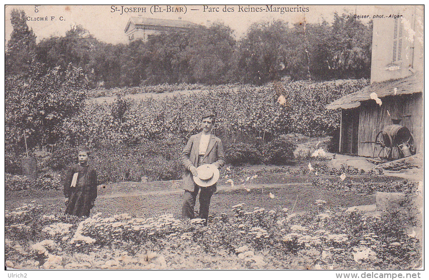 CPA Alger - El-Biar - St-Joseph - Parc Des Reines-Marguerites (8685) - Algeri