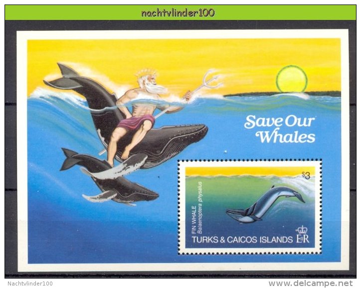 Nbu001 FAUNA ZEEZOOGDIEREN WALVIS NEPTUNE SAVE OUR WHALES SEA MAMMALS BALEINES MARINE LIFE TURKS & CAICOS 1983 PF/MNH - Baleines