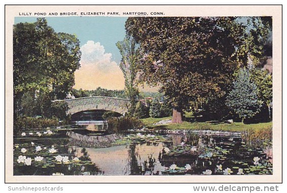 Lilly Pond And Bridge Elizabeth Park Hartford Connecticut - Hartford