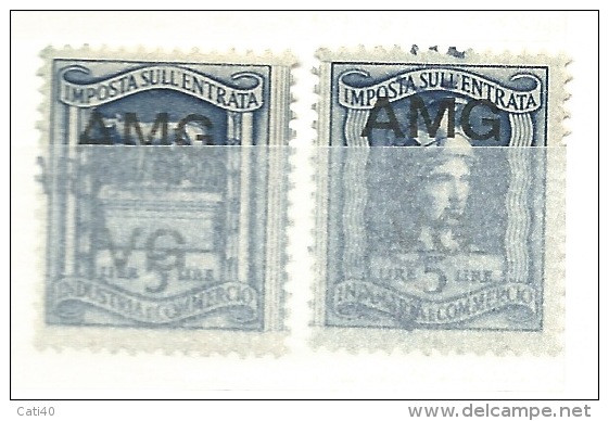 MARCA DA BOLLO REVENUE - TRIESTE AMG VG - LIRE 5 IGE LE DUE PARTI - Revenue Stamps