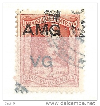 MARCA DA BOLLO REVENUE - TRIESTE AMG  VG - IGE  LIRE 2 - TESTA - Steuermarken