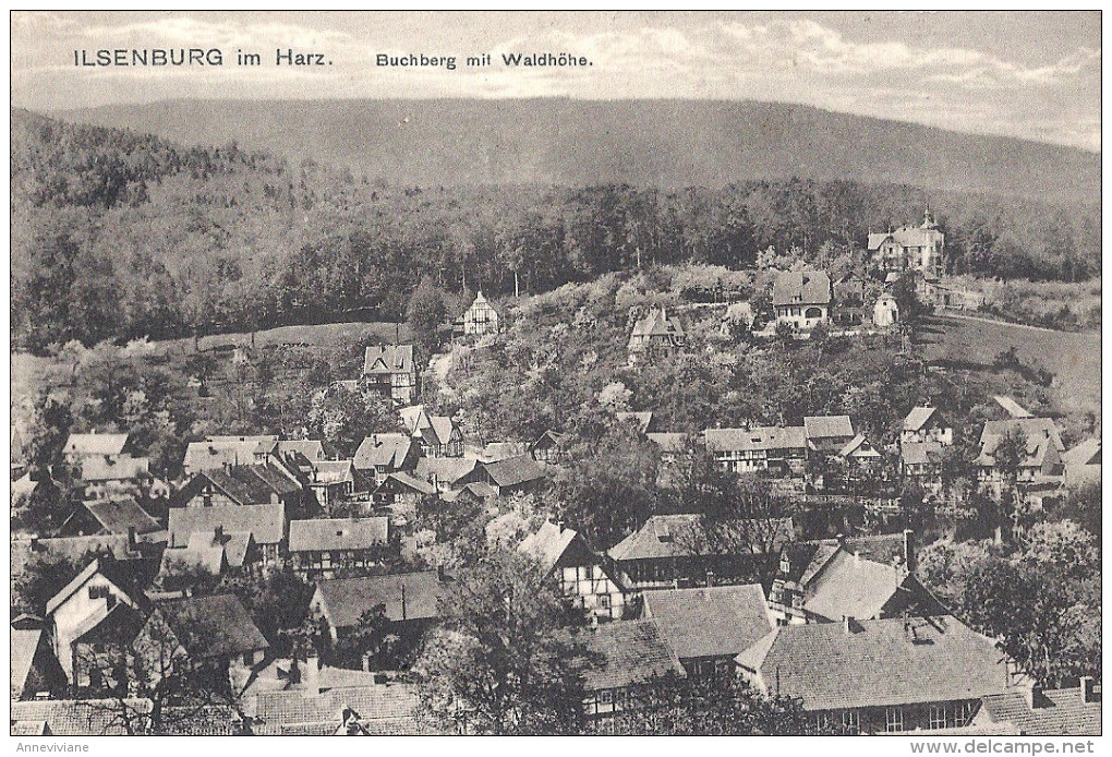 Ilsenburg Im Harz. Buchberg Mit Waldhöhe - Ilsenburg