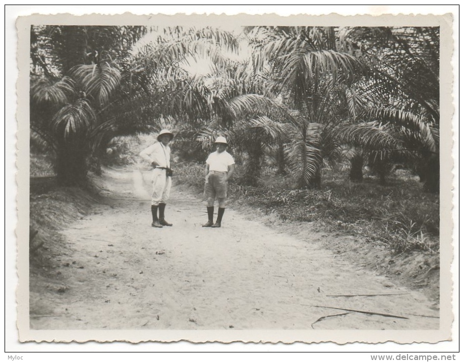 Foto/Photo. Congo. Hommes &amp; Casques Coloniaux Devant Palmiers - Afrique