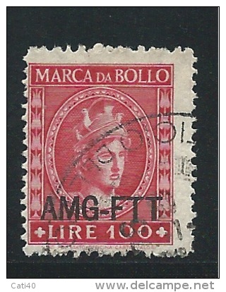 MARCA DA BOLLO/REVENUE  - TRIESTE AMG FTT -LIRE 100 - Steuermarken