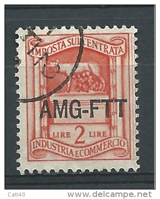 MARCA DA BOLLO/REVENUE  - TRIESTE AMG FTT -IGE  L. 2 - Revenue Stamps