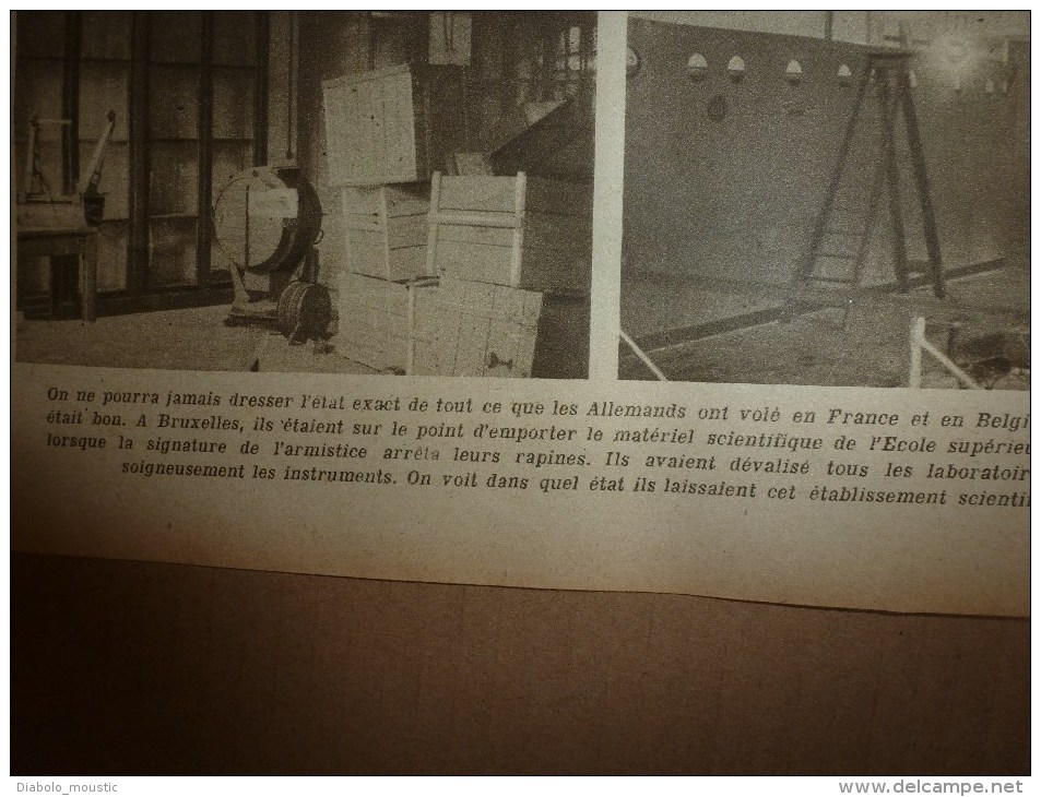 1919 LPDF:Vols des allemands en France et Belgique;FANIONS LPLF;Tagoust;Djemila;Trans-pétrole-guerre;PETAIN ;Munitions?