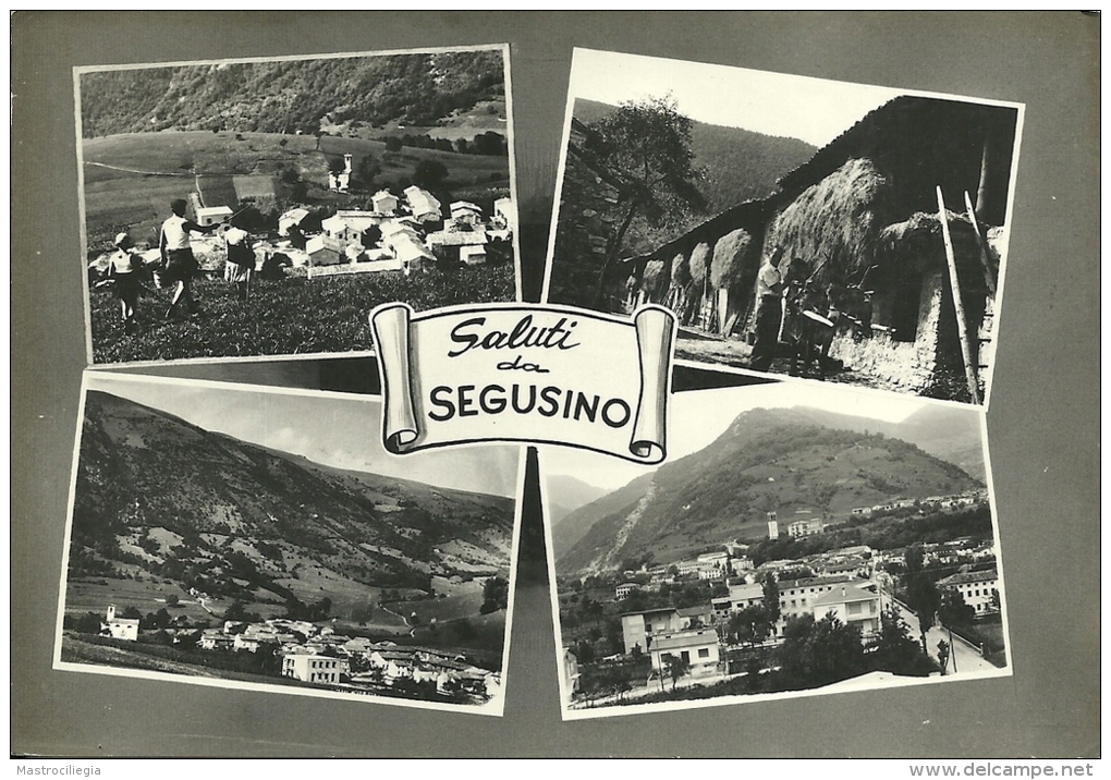 SEGUSINO  TREVISO  Saluti Da..  4 Vedute - Treviso