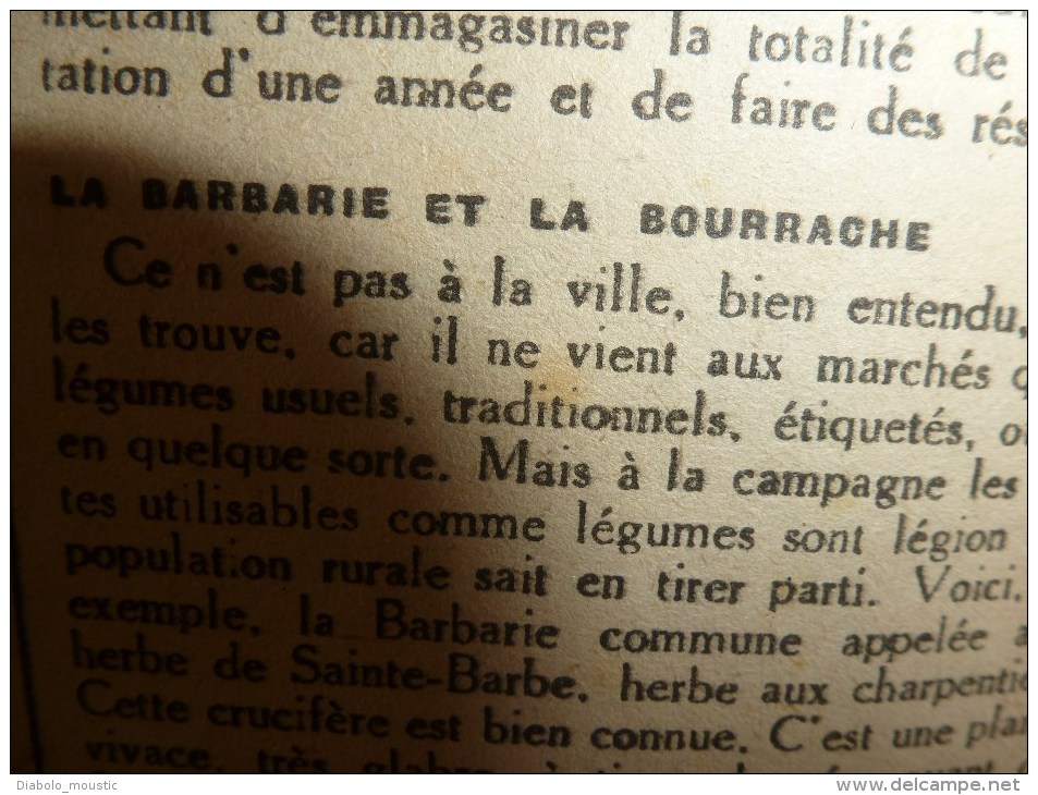 1919 LPDF: Plan des chutes bombes Zeppelins et Gothas à PARIS; Inondations;Enfants de Strasbourg;Carnet d'un HUSSARD