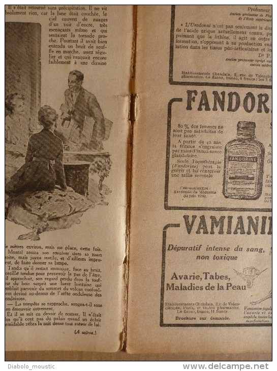 1919 LPDF: Aviateur Védrines;Fanions LPDF;Japon;Révolution Berlin;FIUME;Coblence;Général De La Révolution (Championnet) - Français