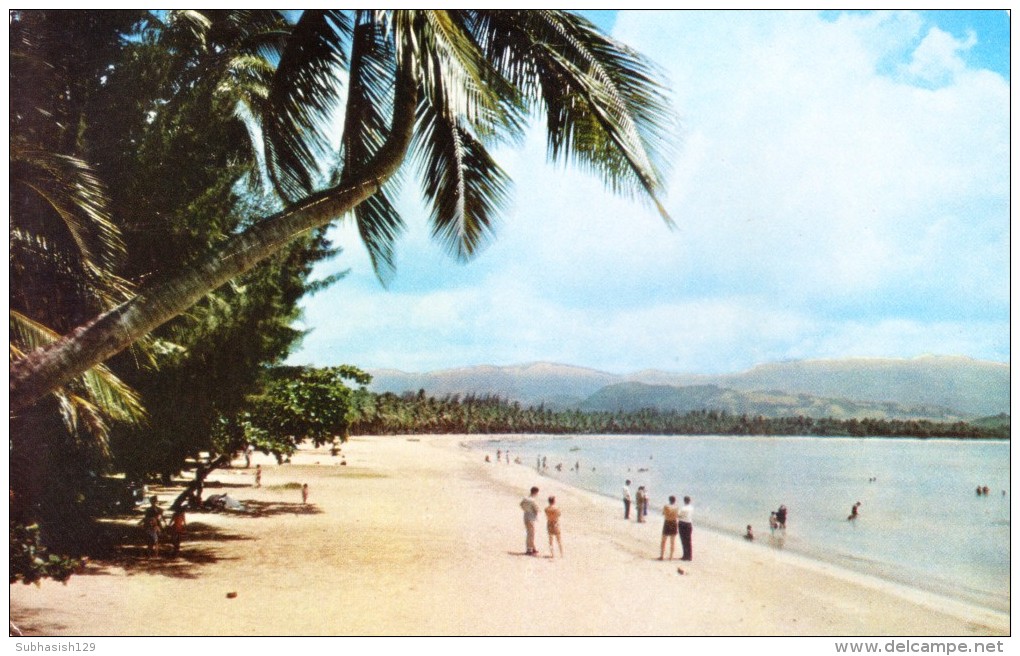 UNITED STATES OF AMERICA PICTURE POST CARD - LUQUILLO BEACH AT PUERTO RICO - San Jose