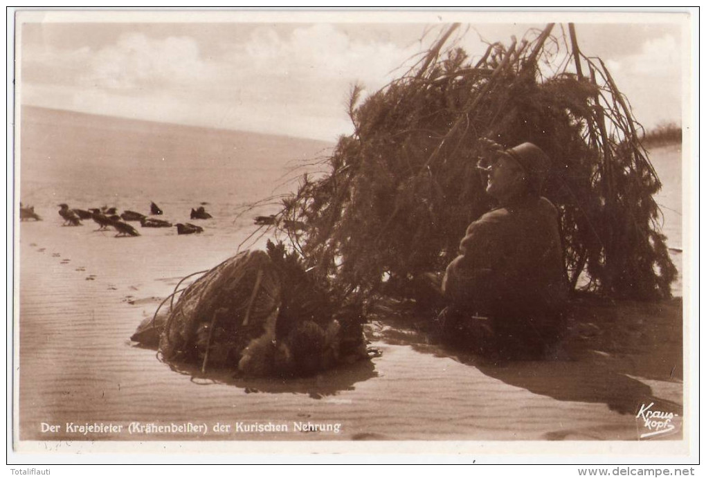 Kurische Nehrung Der Krajebieter - Krähenbeißer Litauen Nidden Preil Nida Preila TOP-Erhaltung Ungelaufen - Ostpreussen