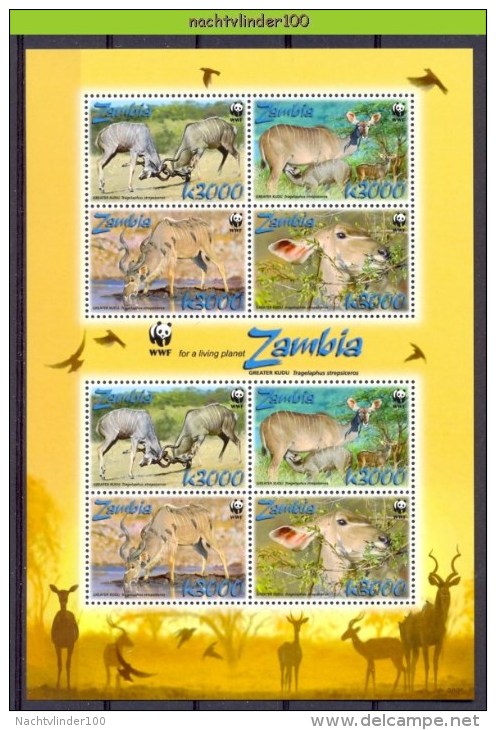 Nbx419MS8b WWF FAUNA ZOOGDIEREN HERTEN KOEDOE GREATER KUDU MAMMALS WILDLIFE ZAMBIA 2008 PF/MNH - Unused Stamps