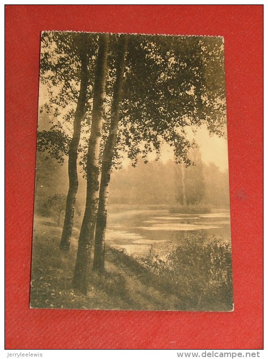 BRUXELLES - AUDERGHEM  -  Etang De Rouge-Cloître - Oudergem - Auderghem