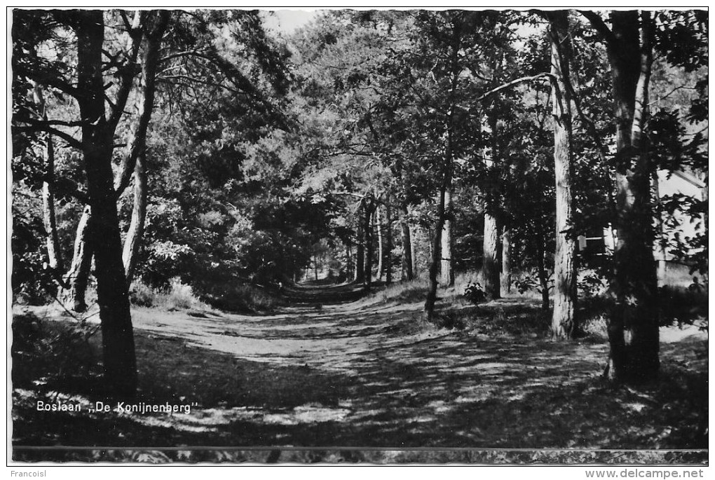 Pays-Bas. Harderwijk. Camping Et Parc à Bungalow. Boslaan  "De Konijnenberg" - Harderwijk