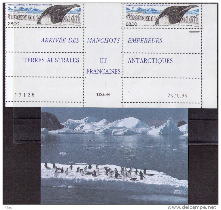 TAAF Penguin , Postcard - Blocks & Kleinbögen