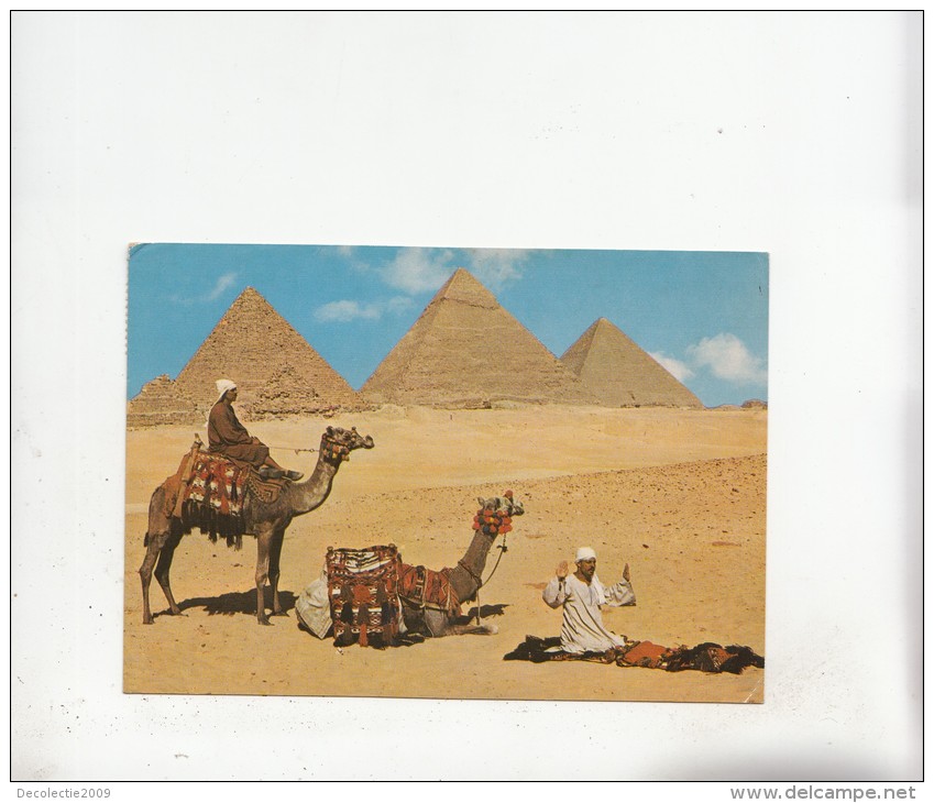 BF26974 Egypt Giza Prayer Near The Pyramids   Front/back Image - Pyramiden