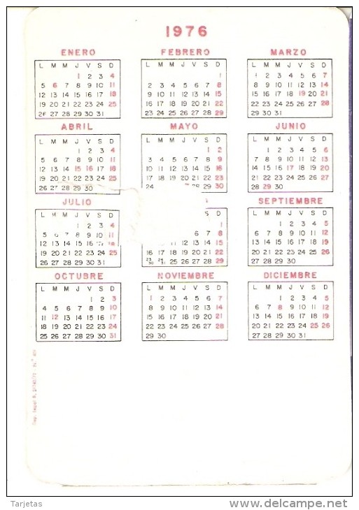 CALENDARIO DEL AÑO 1976 DE UNA CHICA SEXI (NUDE-DESNUDO) (CALENDRIER-CALENDAR) - Tamaño Pequeño : 1971-80