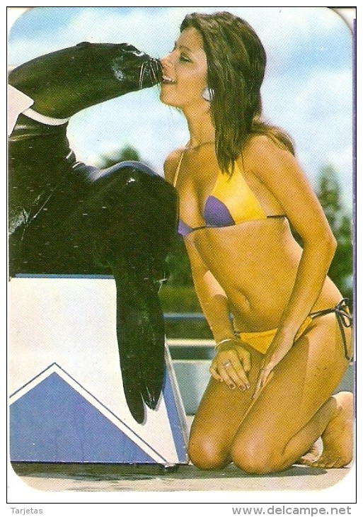 CALENDARIO DEL AÑO 1977 DE UNA CHICA SEXI (NUDE-DESNUDO) (CALENDRIER-CALENDAR) - Kleinformat : 1971-80