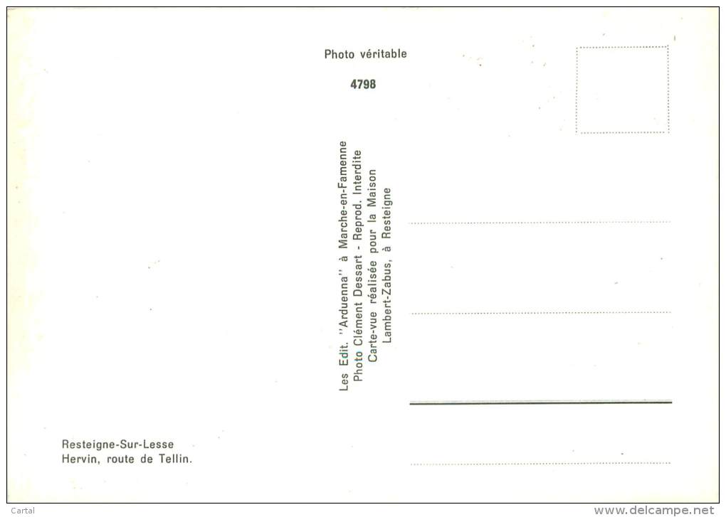 CPM - RESTEIGNE-sur-LESSE - HERVIN - Route De Tellin - Andere & Zonder Classificatie