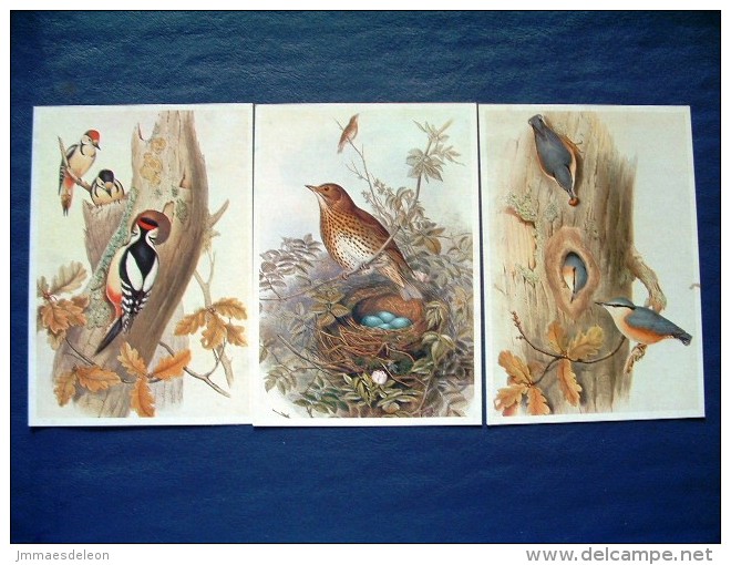 3 Postcards On Birds - Painted By John Gould - Belgium - Pájaros